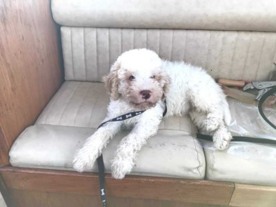 Première  sortie en mer installe dans la timonerie