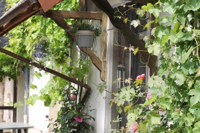 porte-jardin-2021.jpg (74.71 Kio) Vu 27554 fois La porte qui donne sur le jardin